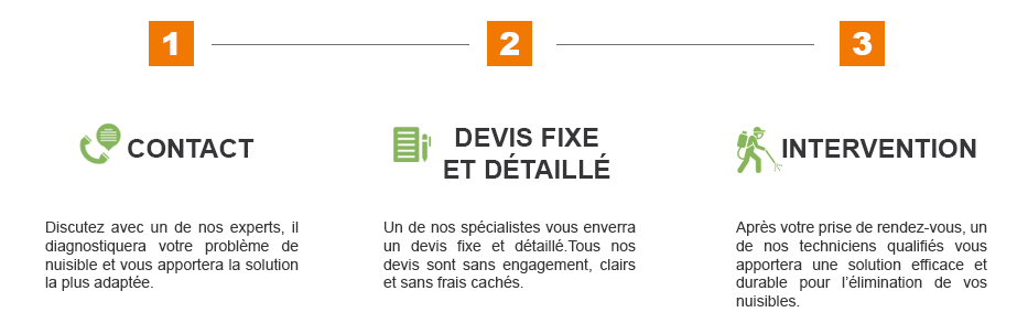 se débarrasser des punaises de lit avec Hygiène Services punaise lit matelas infestation de punaises boutons piqures paris hôtel 