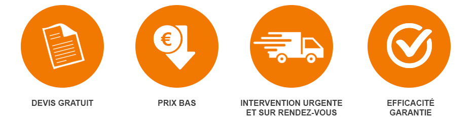 se débarrasser des punaises de lit avec Hygiène Services punaise lit matelas infestation de punaises boutons piqures paris hôtel prix bas