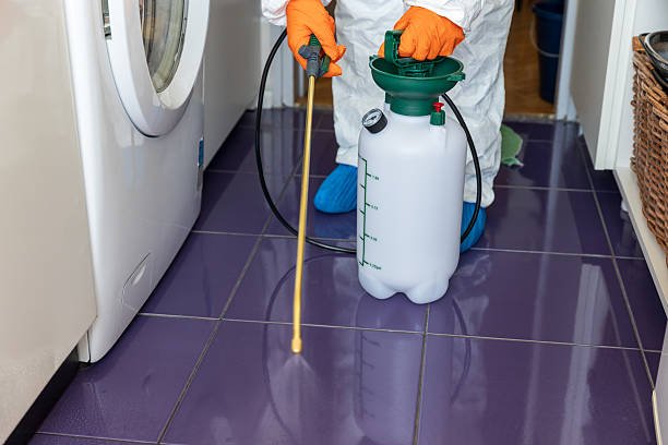 professionnel anti punaises de lit