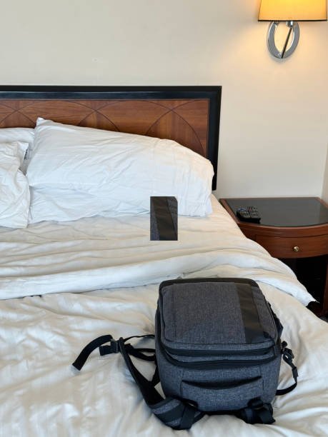 traitement de punaise de lit