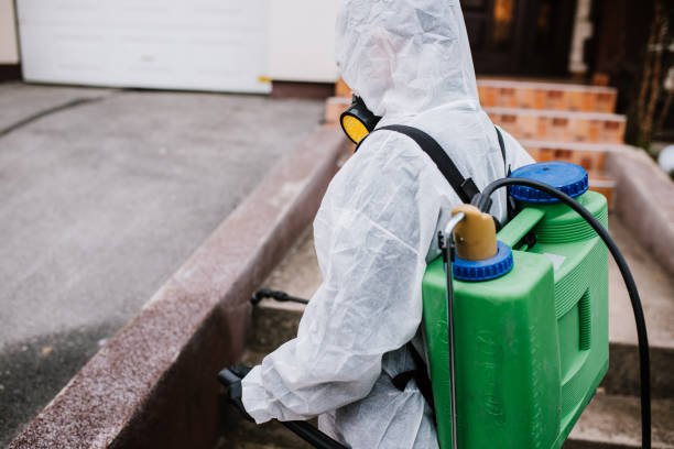 traitement blatte de jardin