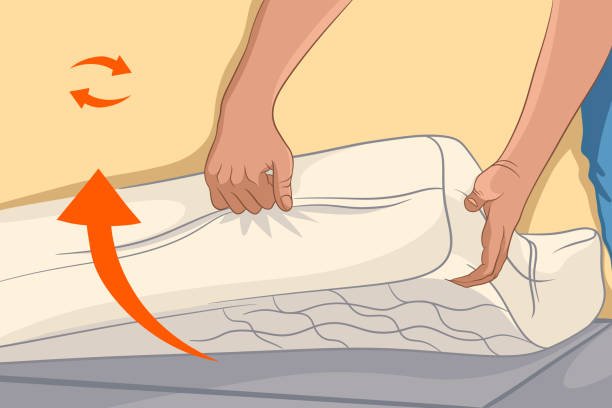 infestation de punaises de lit